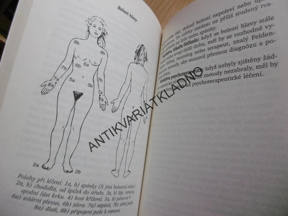 REIKI, DOMÁCÍ LÉKÁRNA, WALTER LÜBECK, **an
