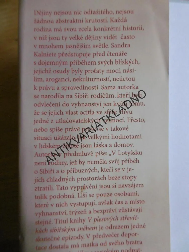 V PLESOVÝCH STŘEVÍČKÁCH SIBIŘSKÝM SNĚHEM, SANDRA KALNIETE