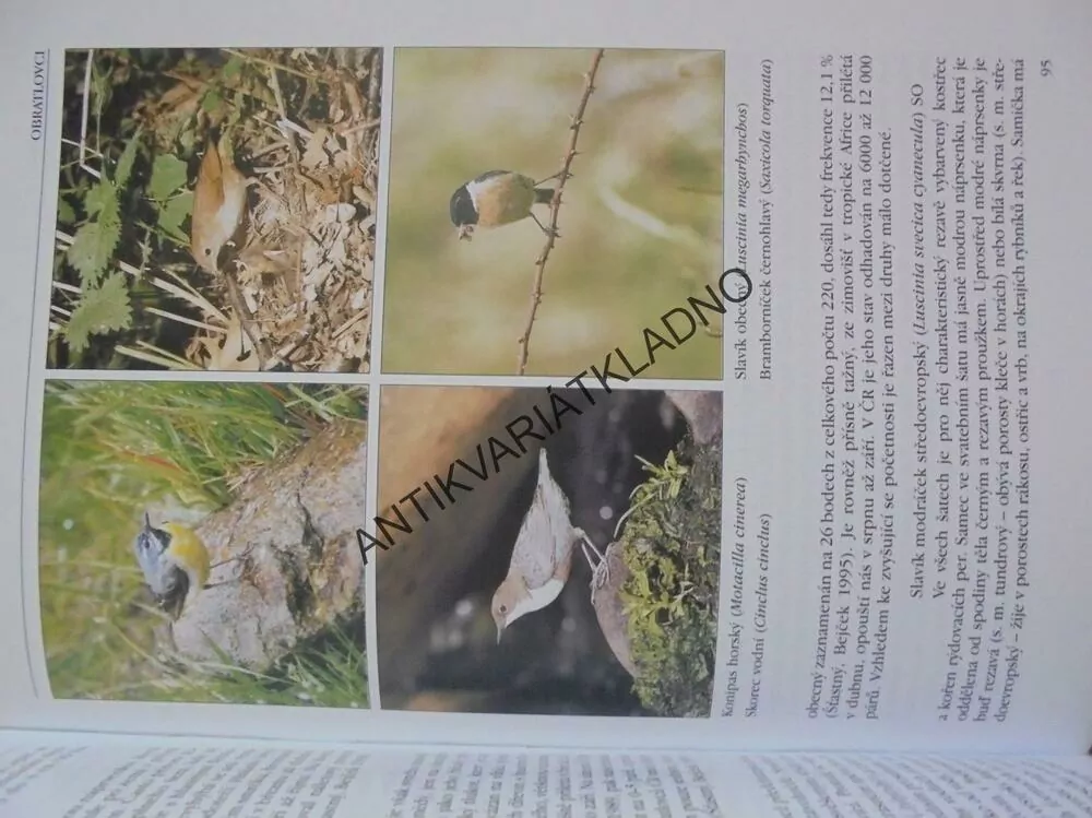 FAUNA BÍLINSKA, V.BEJČEK,K.ŠŤASTNÝ, BÍLINA,TEPLICE
