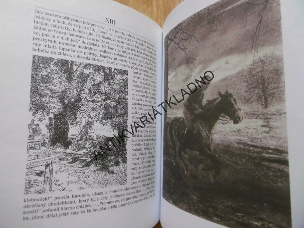 BABIČKA, BOŽENA NĚMCOVÁ, ZDENĚK BURIAN,
