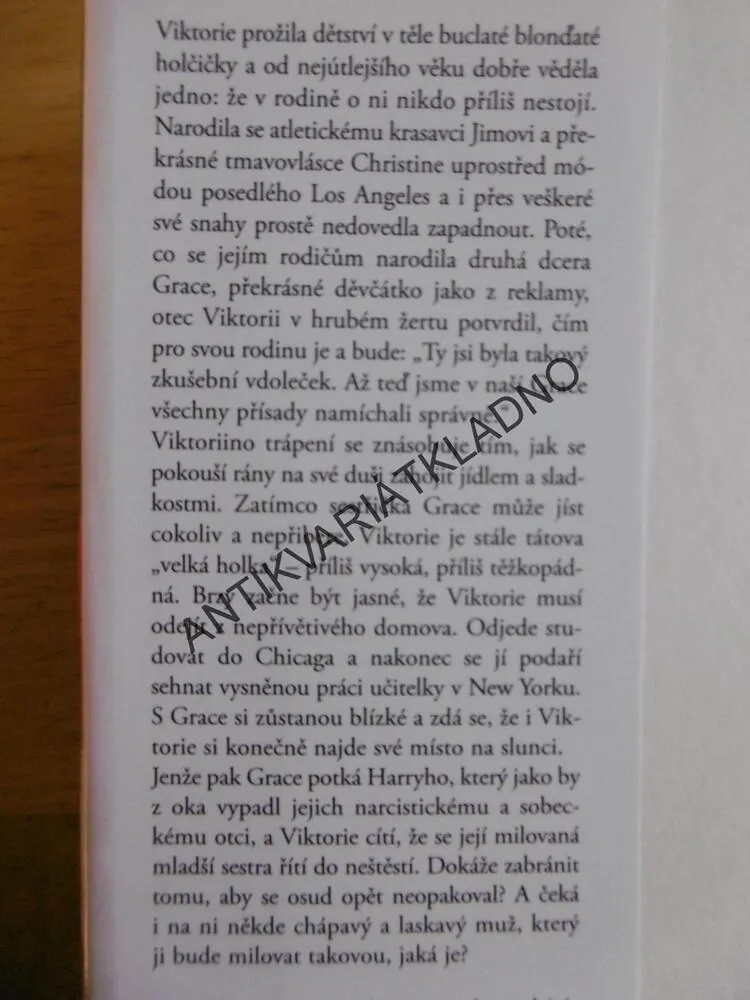 VELKÁ HOLKA, DANIELLE STEEL