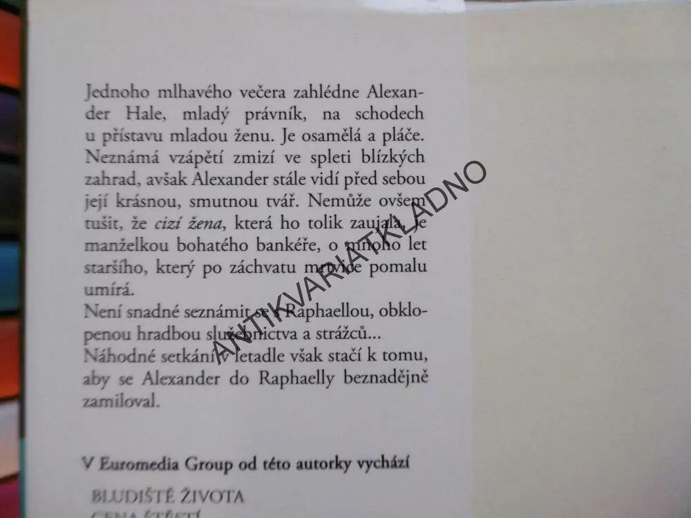 CIZÍ ŽENA, DANIELLE STEEL, **an