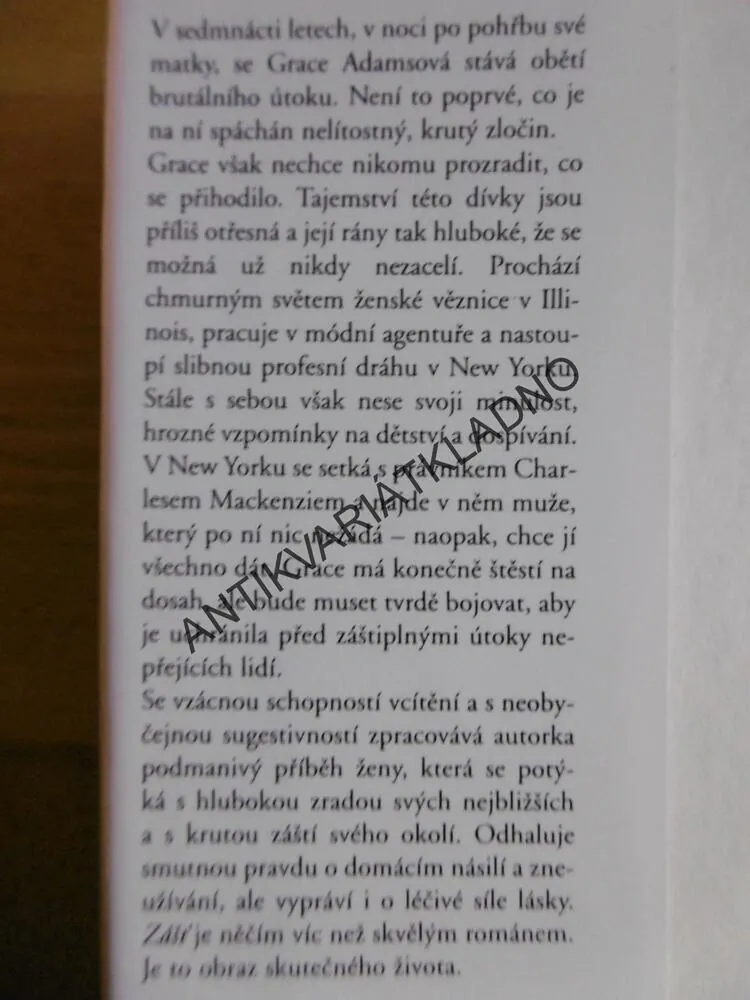 ZÁŠŤ, DANIELLE STEEL, **an
