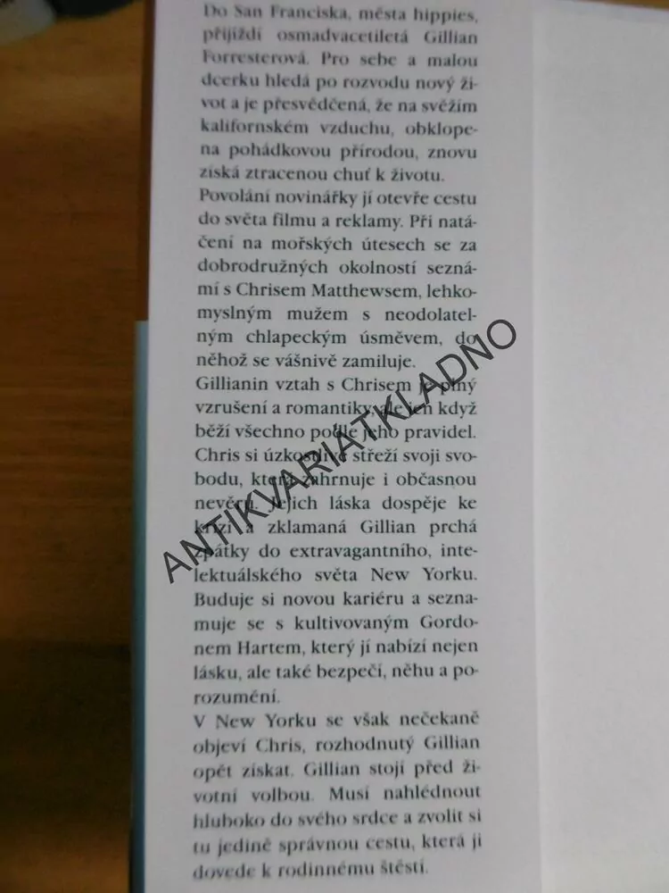 CESTA DOMŮ, DANIELLE STEEL