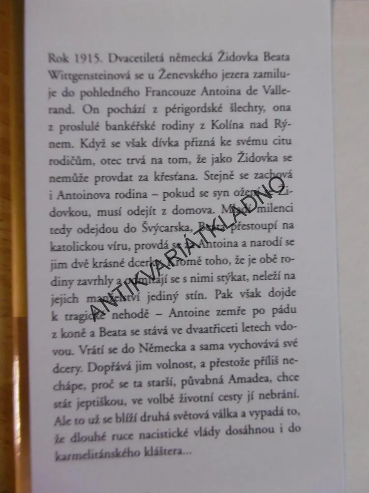 OZVĚNY, DANIELLE STEEL