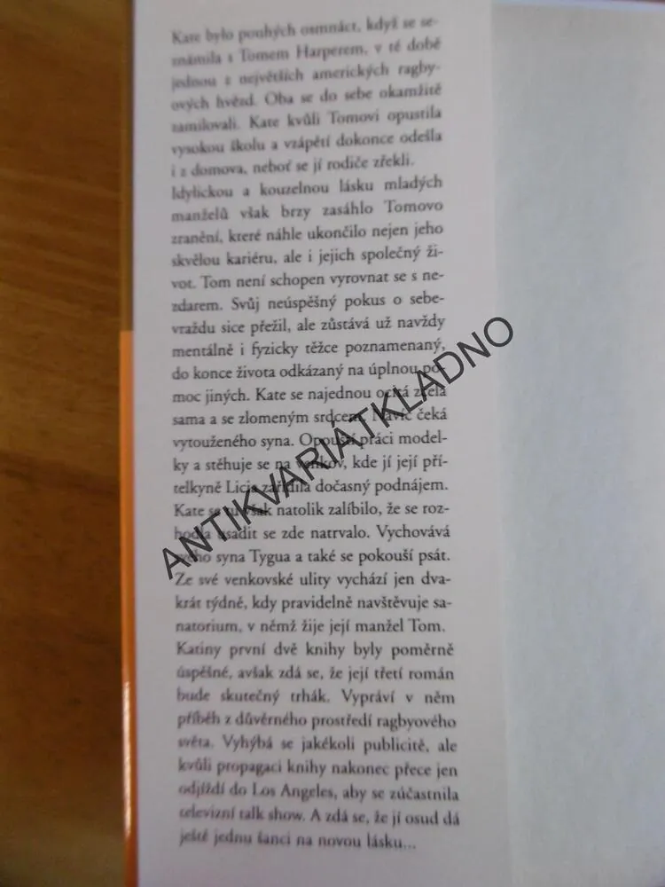 VÁŠNIVÁ SEZONA, DANIELLE STEEL, **an
