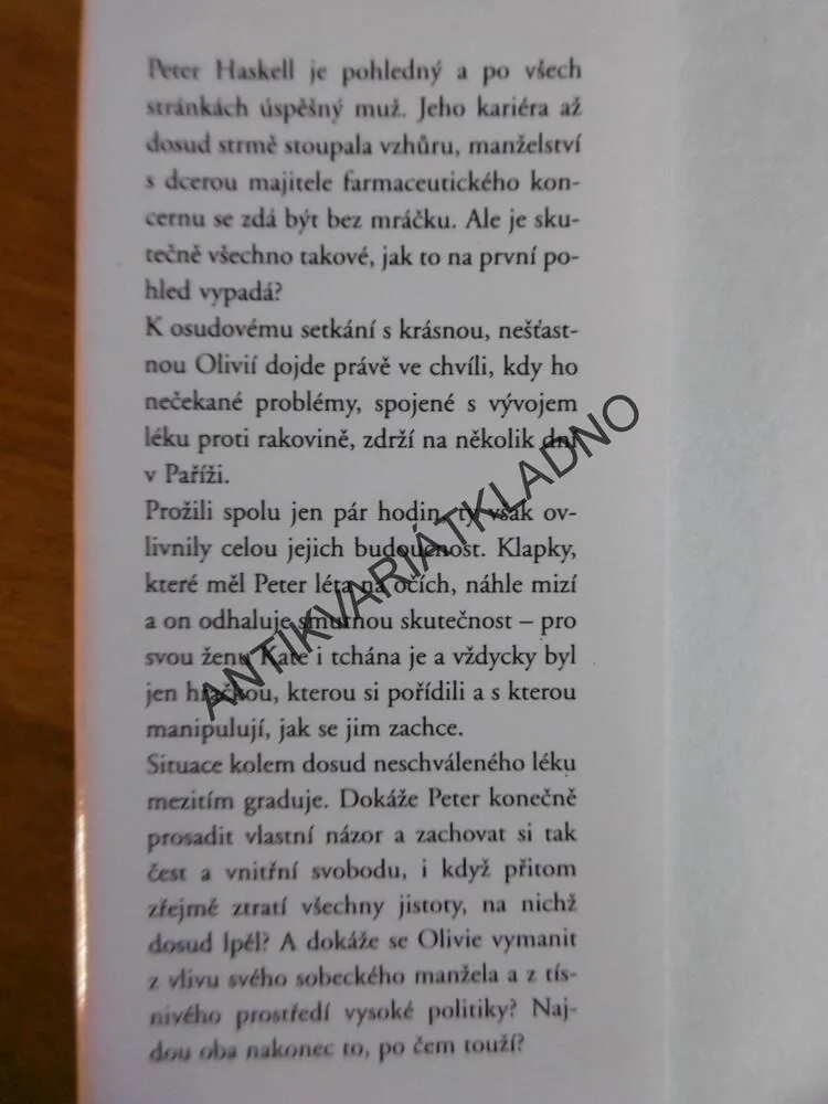 PĚT DNÍ V PAŘÍŽI, DANIELLE STEEL, **an