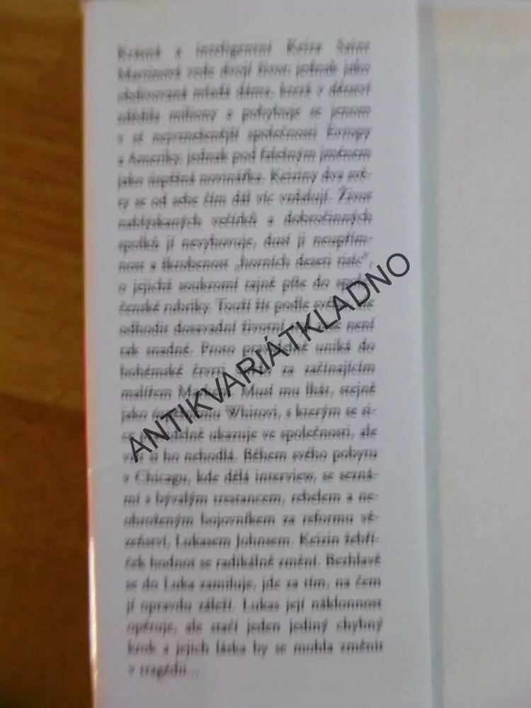 DVOJÍ SVĚT, DANIELLE STEEL, **an