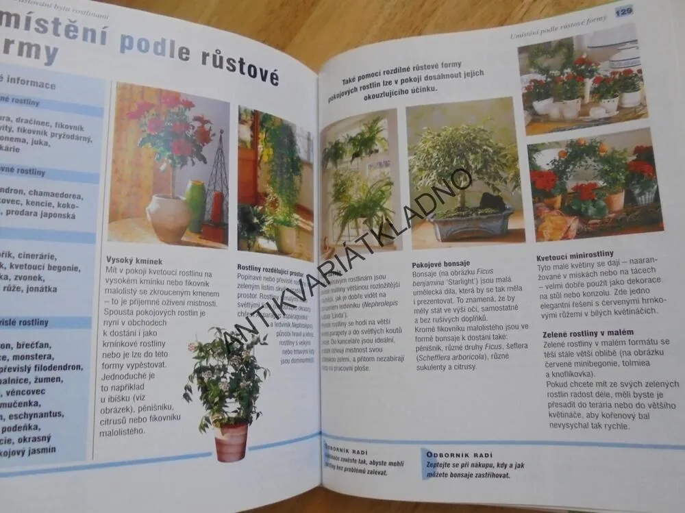 POKOJOVÉ ROSTLINY, PĚSTOVÁNÍ, VÝBĚR, NÁPAD PRO MÍSTO, **an