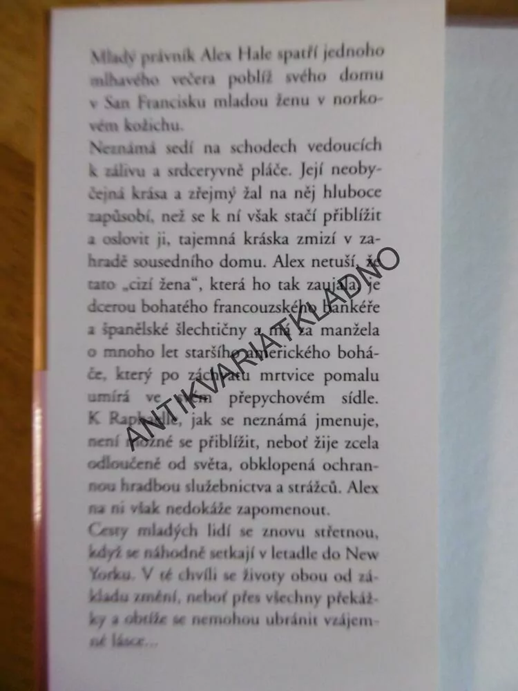 CIZÍ ŽENA, DANIELLE STEEL, **an