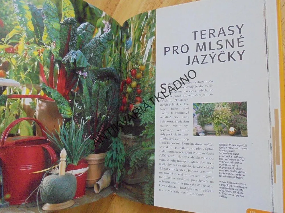 MODERNÍ TERASOVÉ ZAHRADY, KBELÍKOVÉ ROSTLINY , **an