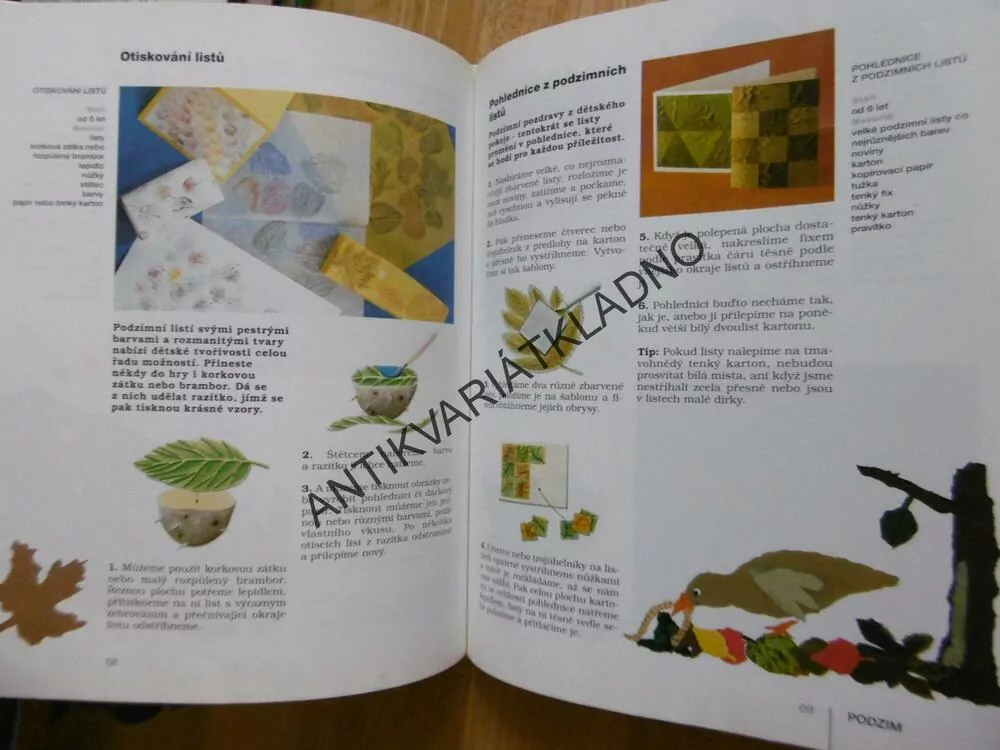 HRAČKY Z PŘÍRODY PO CELÝ ROK, PRO DĚTI OD 4 LET. BARFFOVÁ