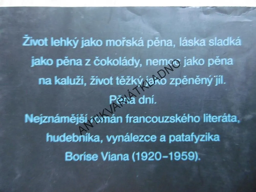 PĚNA DNÍ, BORIS VIAN