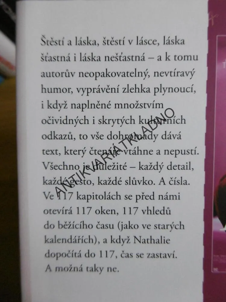 NĚŽNOST, DAVID FOENKINOS, **an