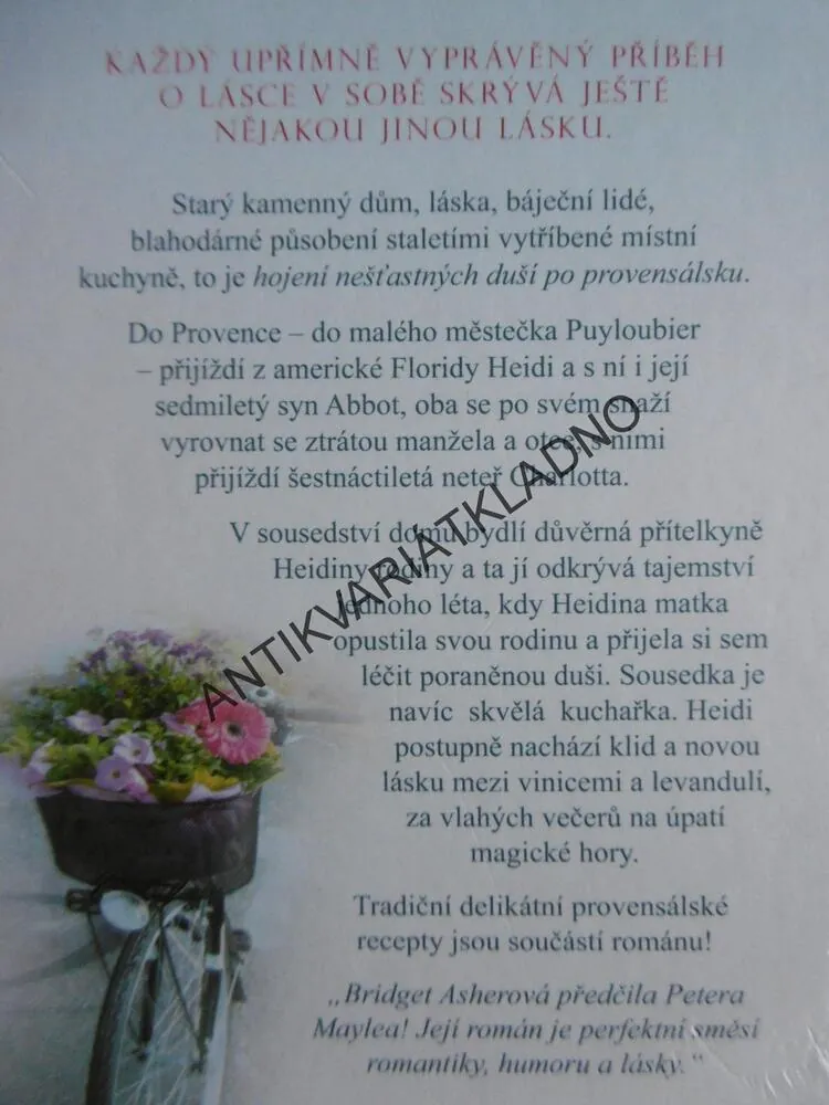 LÁSKA V PROVENCI, BRIDGET ASHEROvÁ, **an