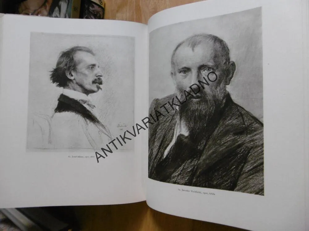 PORTRÉTNÍ UMĚNÍ MAXE ŠVABINSKÉHO, ŠVABINSKÝ