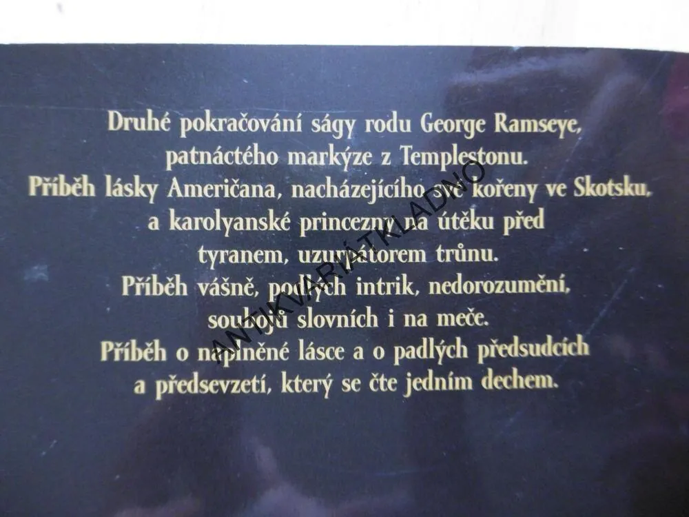 NAVŽDY PRINCEZNOU, REBECCA HAGAN LEEOVÁ, **an