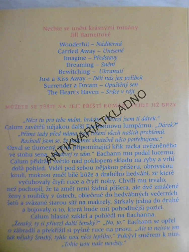 UNESENÉ SNOUBENKY,JILL BARNETTOVÁ, **an