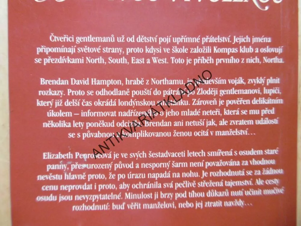 BÝT TVOU VYVOLENOU, JO GOODMANOVÁ
