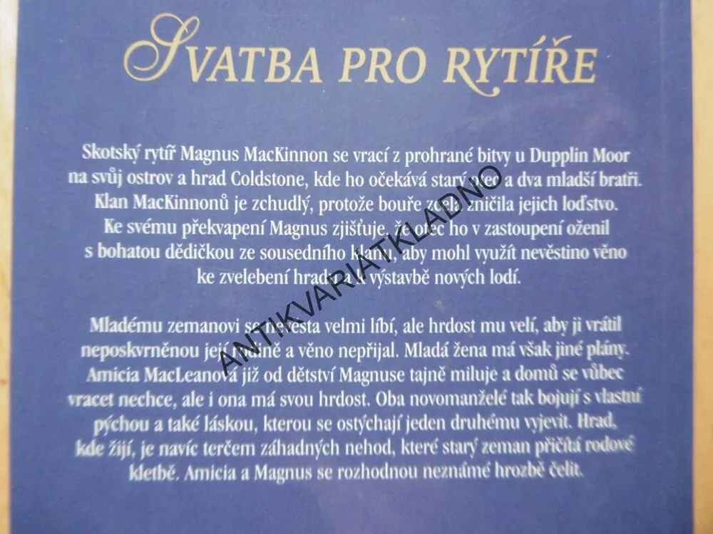 SVATBA PRO RYTÍŘE, SUE-ELLEN WELFONDEROVÁ