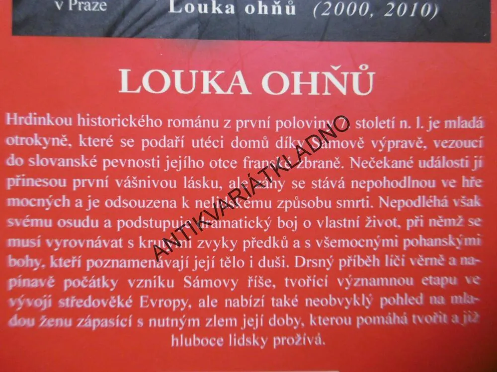 LOUKA OHŇŮ, JIŘÍ PÁNEK, **an