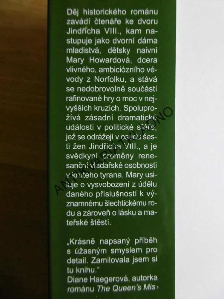 TAJEMSTVÍ TUDORSKÉHO DVORA, D.L.BOGDANOVÁ
