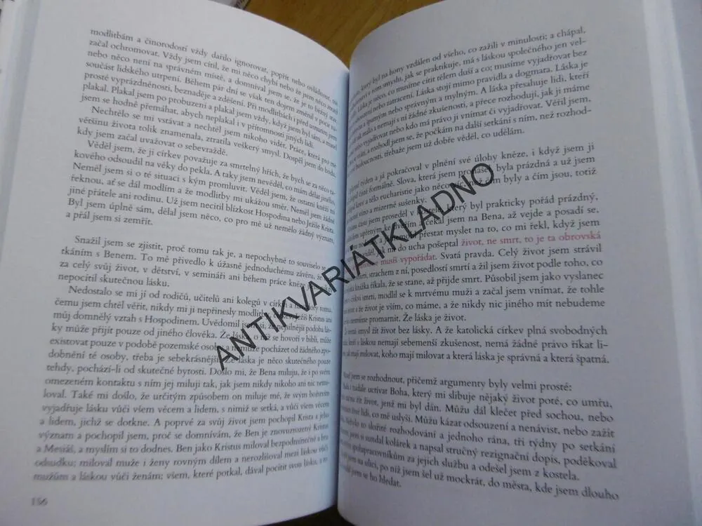 POSLEDNÍ VŮLE BENA ZIONA AVROHOMA, JAMES FREY, **an