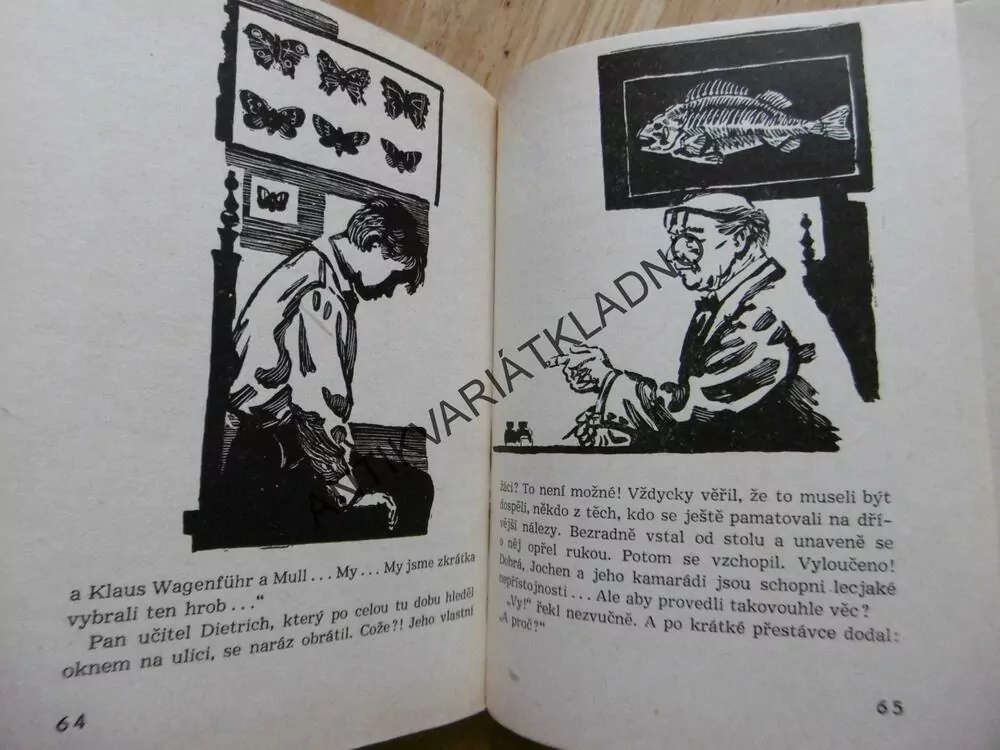 KARAVANA - ZLATO KNÍŽAT, HORST BLUME