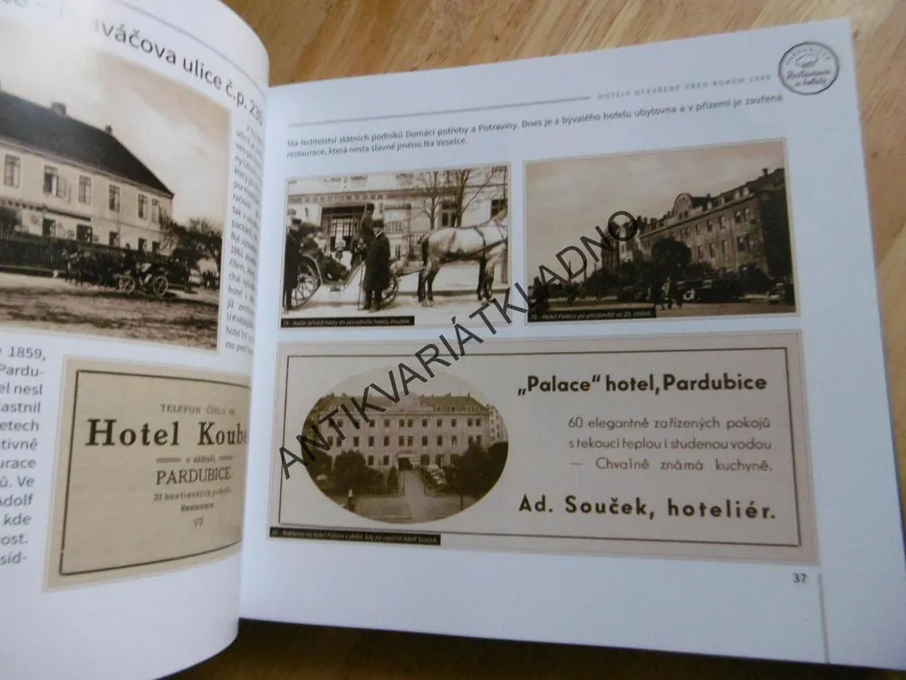 PARDUBICKÉ RESTAURACE A HOTELY, KOTYK, HALÍŘOVÁ