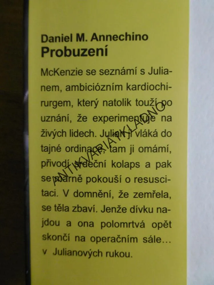 PROBUZENÍ, DANIEL M. ANNECHINO, **an