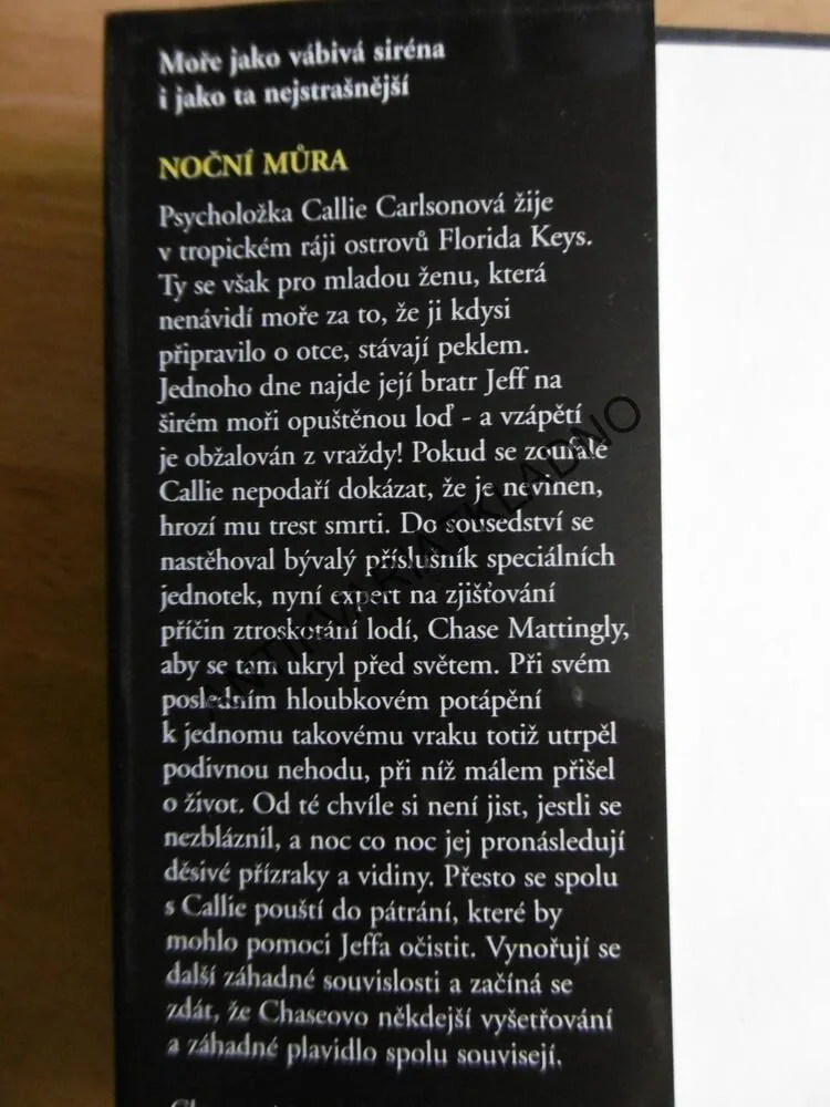 NOČNÍ MŮRA, RACHEL LEEOVÁ, **an