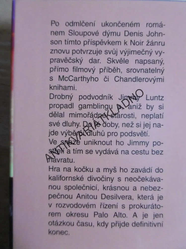 NIKDO ANI HNOUT, DENIS JOHNSON, **an