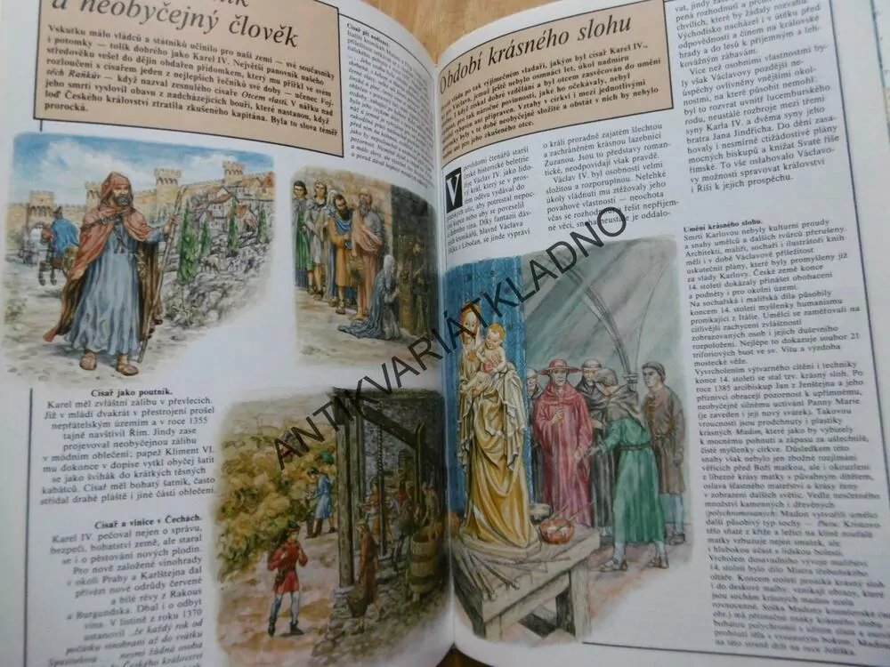 ČESKÉ ZEMĚ ZA VLÁDY LUCEMBURKŮ, HELENA MANDELOVÁ, **an