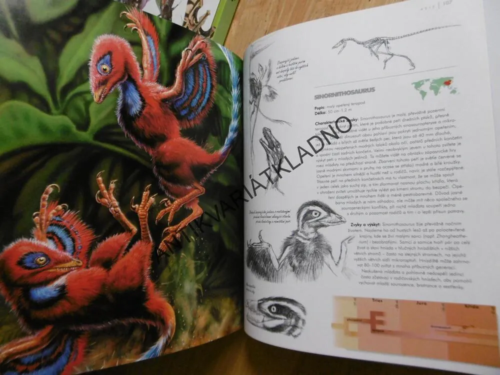 SVĚT DINOSAURŮ, ZÁKLADNÍ PŘÍRUČKA CESTOVATELŮ DRUHOHORAMI, H. GEE, L.V. REY