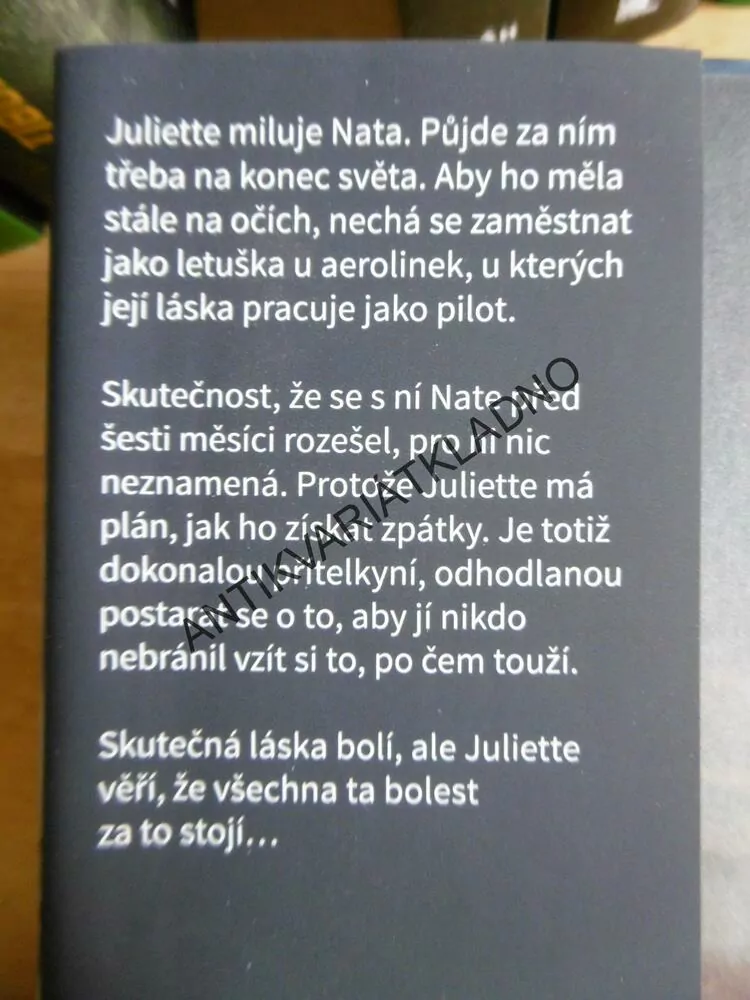 DOKONALÁ PŘÍTELKYNĚ, KAREN HAMILTON