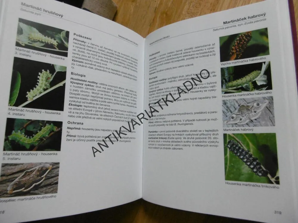 OBRAZOVÝ ATLAS CHOROB A ŠKŮDCŮ OVOCNÝCH DŘEVIN A RÉVY VINNÉ, HLUCHÝ, ACKERMANN