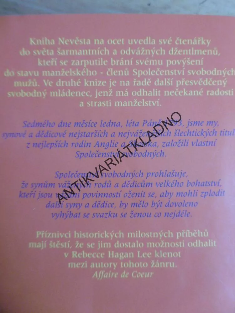 DRUHÁ ŠANCE, REBECCA HAGAN LEEOVÁ, **an