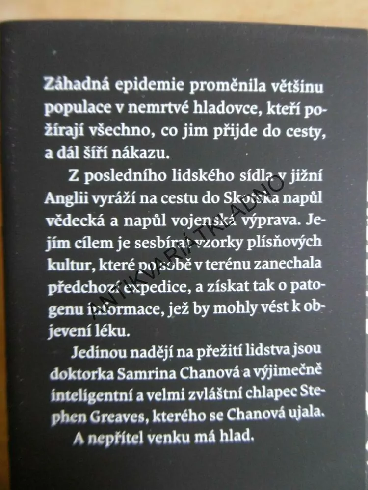 CHLAPEC NA MOSTĚ, M.R.CAREY
