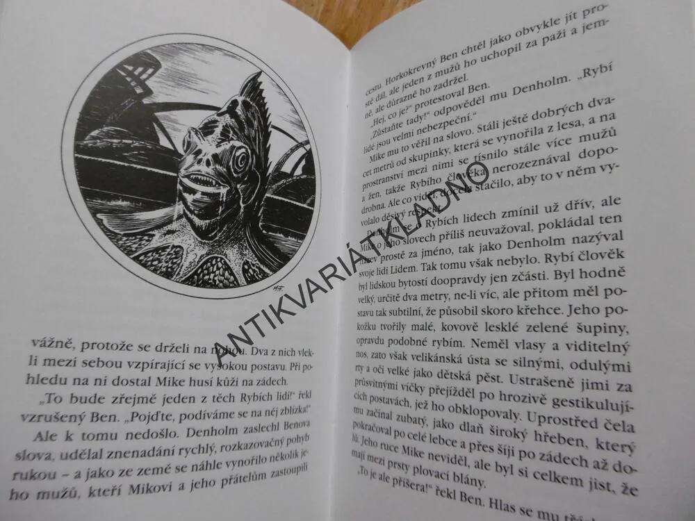 VLÁDCI HLUBIN, DĚTI KAPITÁNA NEMA, WOLFGANG HOHLBEIN, **an