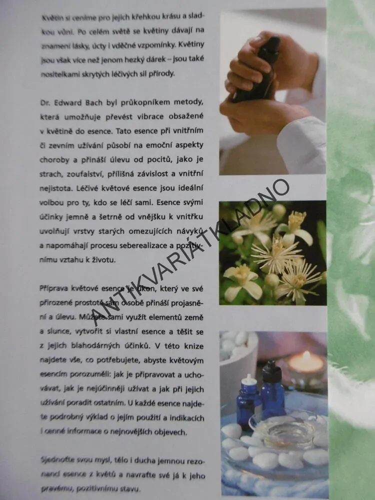 LÉČIVÁ SÍLA PŘÍRODY, BACHOVY KVĚTOVÉ ESENCE, VIVIEN WILLIAMSONOVÁ