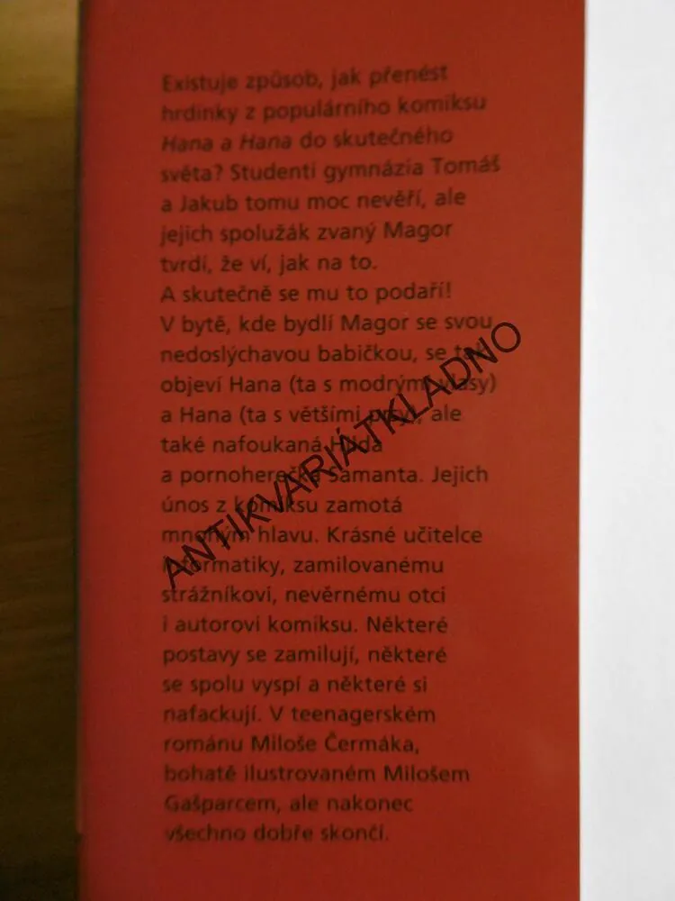 NEMACHRUJ, TA HOLKA JE NAKRESLENÁ! ANEB ÚNOS Z KOMIKSU HANA A HANA, **an