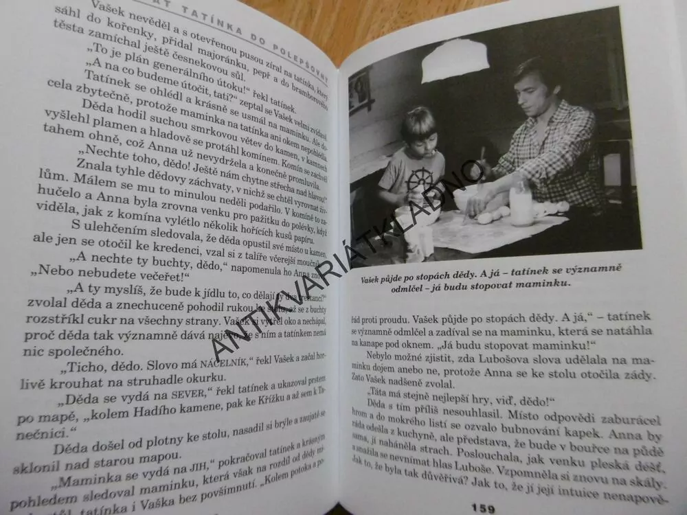 JAK DOSTAT TATÍNKA DO POLEPŠOVNY, MARIE POLEDŇÁKOVÁ, **an