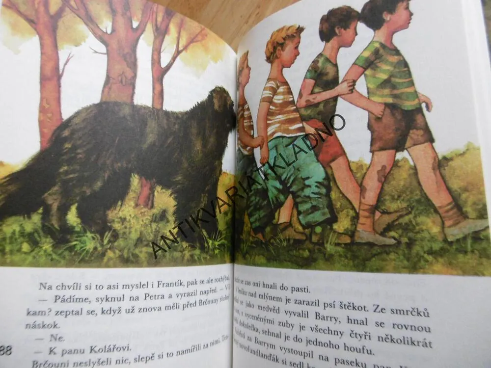 SMĚR ČERVENÝ ÚJEZD, ANNA BLAŽÍČKOVÁ, DISMAN, **an