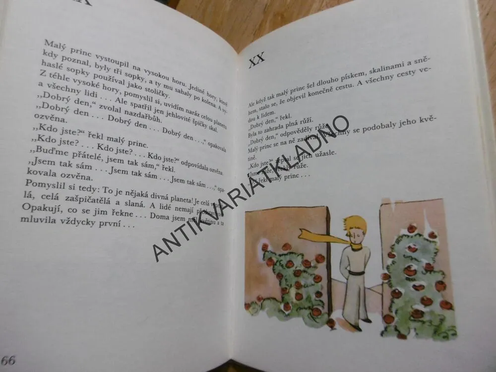 MALÝ PRINC, ANTOINE DE SAINT - EXUPÉRY, **an