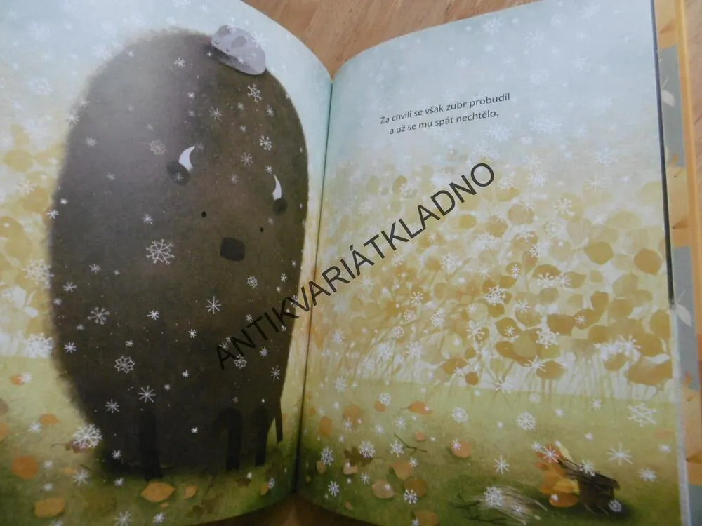 ZUBR SI HLEDÁ HNÍZDO, OKSANA BULA