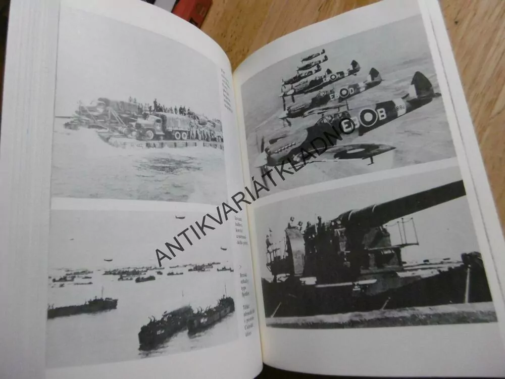 INVAZE, MILOŠ HUBÁČEK, **an