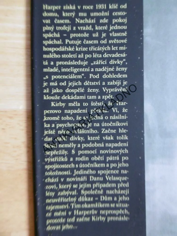 DÍVKA, KTERÁ SE TŘPYTILA, LAUREN BEUKESOVÁ, **an