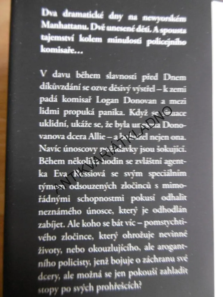 MĚSTO V OHROŽENÍ, STEFANIE PINTOFFOVÁ, **an