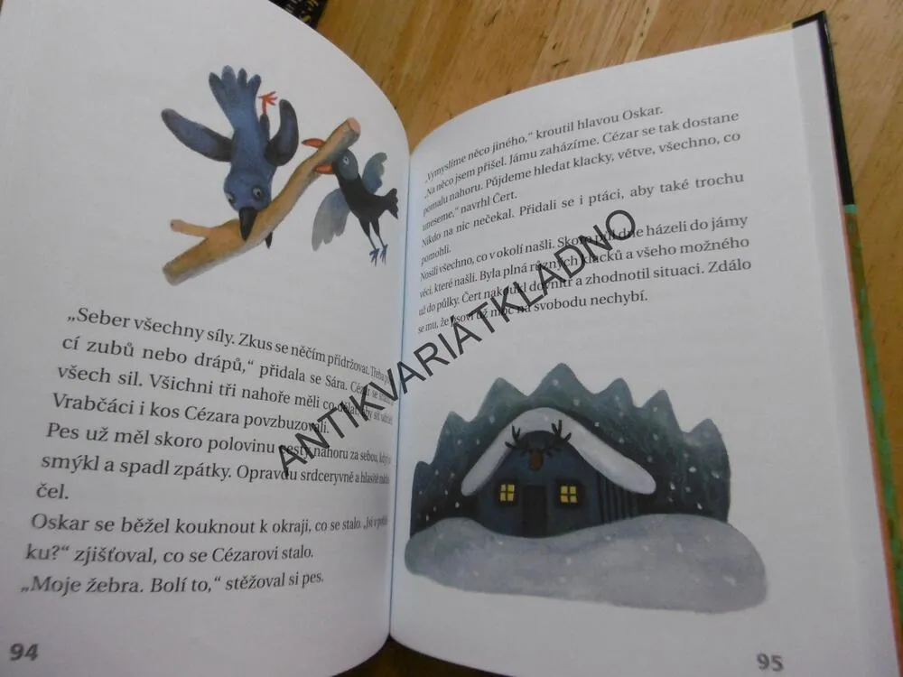 KOČKA SÁRA A JEJÍ PŘÁTELÉ, KUČEROVÁ, DVOŘÁKOVÁ, **an