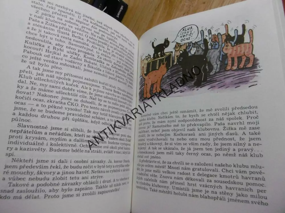 JÁ, KOCOUR STANDA, BEN BUDAR, **an